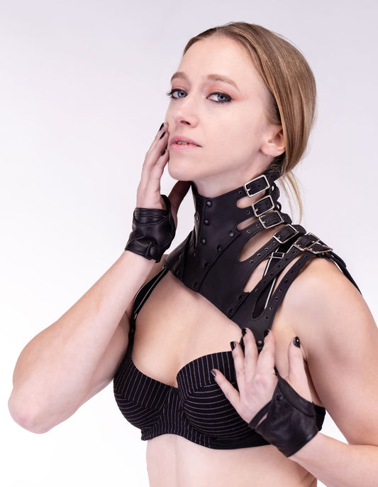 Shimekorosu Leather Posture Collar